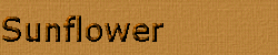 Ga hier naar Sunflower