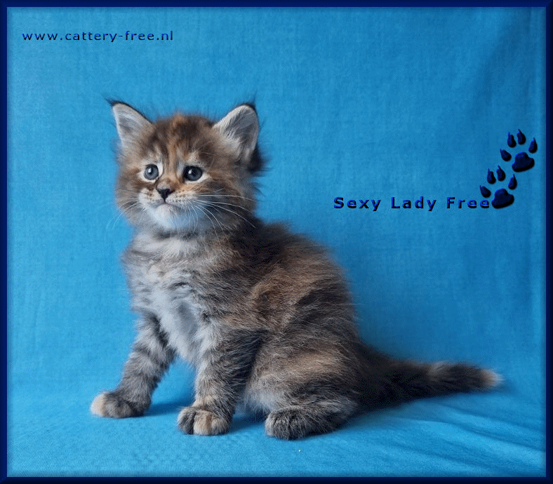 Week 5 Sexy Lady film