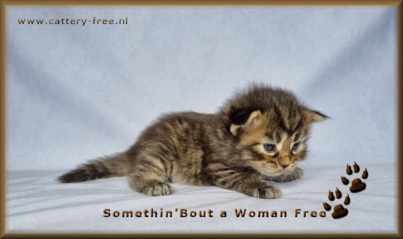 Woman 19 dagen film