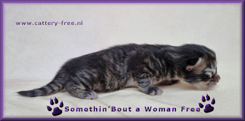 Woman 5 dagen film